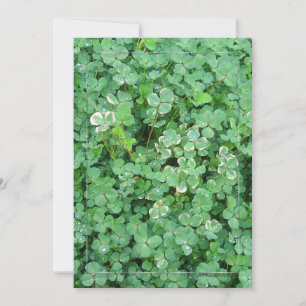 Grüne irische Shamrock-Einladungsvorlage Einladung