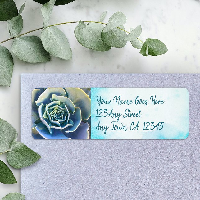 Grüne Kakteen, sukkulentes Foto mit stilvollem Chi (Von Creator hochgeladen)