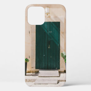 GRÜNE KAKTEENPFLANZE NAHE GRÜNER TÜR Case-Mate iPhone HÜLLE