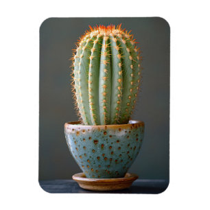 Grüne Kaktus in einer Aquamarinen Keramik Pot Foto Magnet