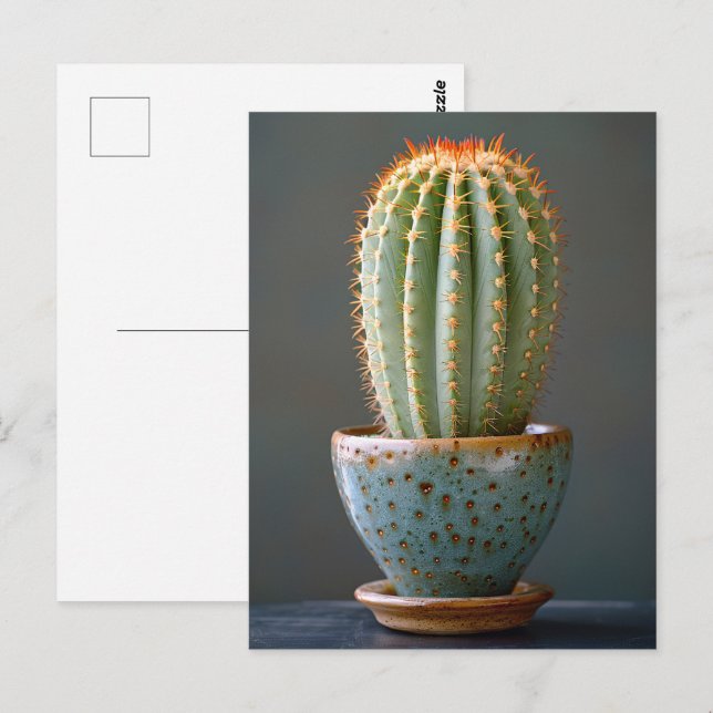 Grüne Kaktus in einer Aquamarinen Keramik Pot Foto Postkarte (Vorne/Hinten)
