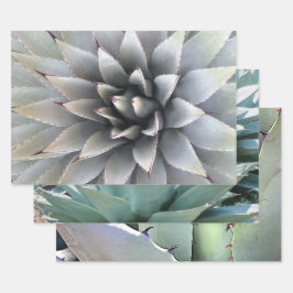 Grüne Kaktus-Wüste der botanischen Pflanze Geschenkpapier Set