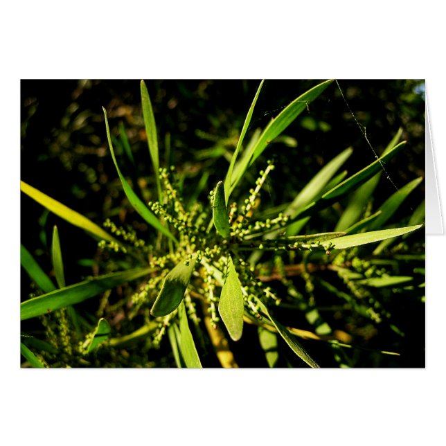 Grüne Karte (Vorderseite (Horizontal))