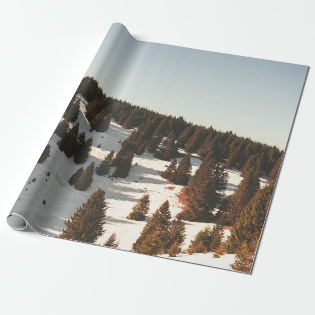 GRÜNE KIEFERN GESCHENKPAPIER (Ungerollt)