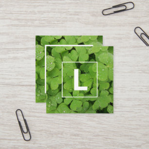 Grüne Klee erste Visitenkarte