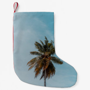 Grüne Kokosnuss unter blauem Himmel Kleiner Weihnachtsstrumpf
