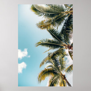 Grüne Kokospalmen Poster