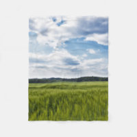 Grüne Kornfelder und blaue Himmel