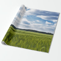 Grüne Kornfelder und blaue Himmel