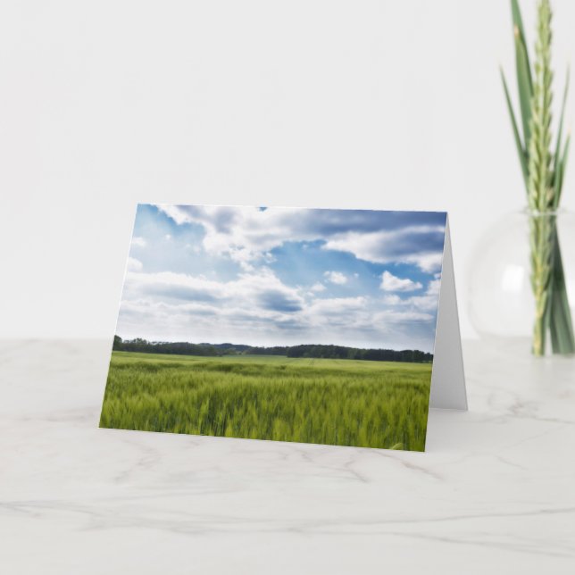 Grüne Kornfelder und blaue Himmel Karte (Vorderseite)