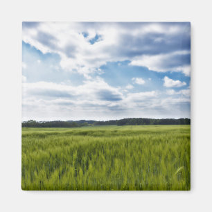 Grüne Kornfelder und blaue Himmel Magnet