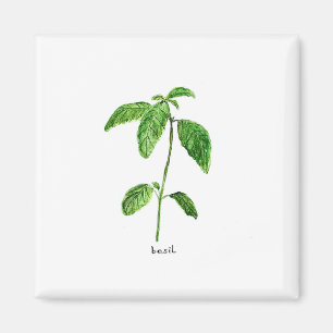 Grüne Kräutergarten Aquarell Magnet