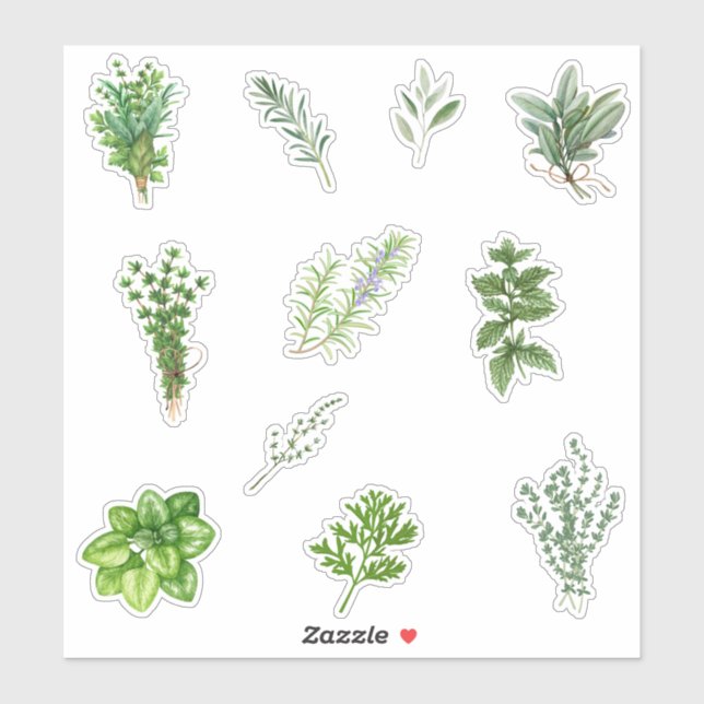 Grüne Küchenkraut Aufkleber (Blatt)
