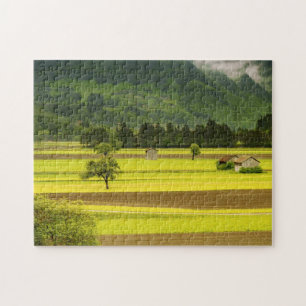 Grüne Landschaft
