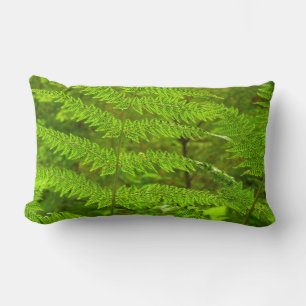 Grüne Landschaft, botanisch Lendenkissen