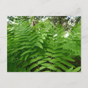 Grüne Landschaft und botanische Landschaften Postkarte