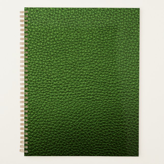 Grüne Leder  Planer (Vorderseite)