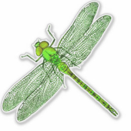 Grüne Libelle Aufkleber