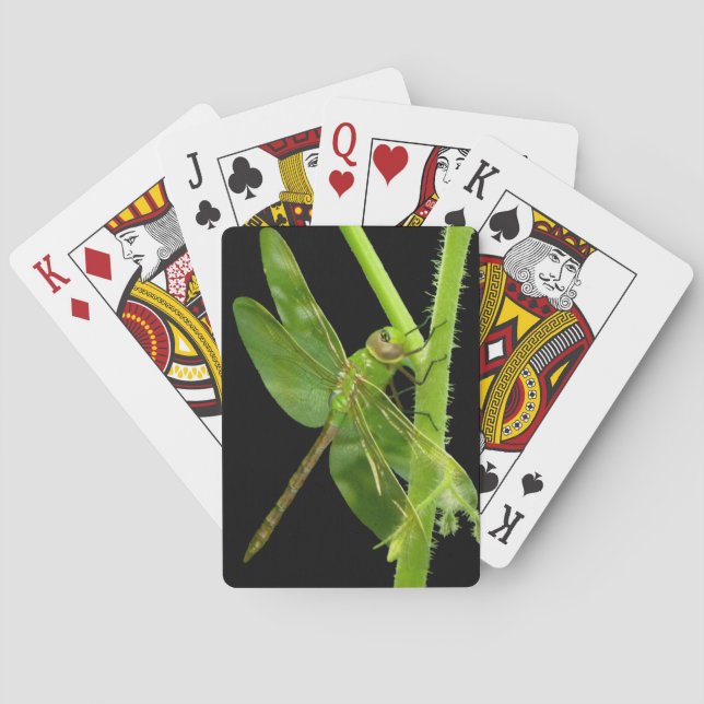 Grüne Libellen-Spielkarten Spielkarten (Rückseite)