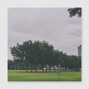 Grüne Linie Magnetkarte