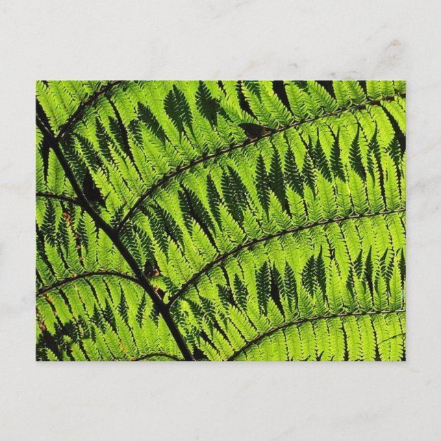 Grüne Linke Postkarte (Vorderseite)