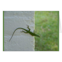 Grüne Lizard hängt aus