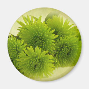 Grüne Mäuse Magnet
