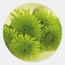 Grüne Mäuse