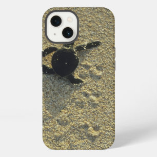 Grüne Meeresschildkröte, (Chelonia mydas), frisch iPhone Hülle
