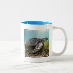 Grüne Meeresschildkröte der Bucht an der Zweifarbige Tasse