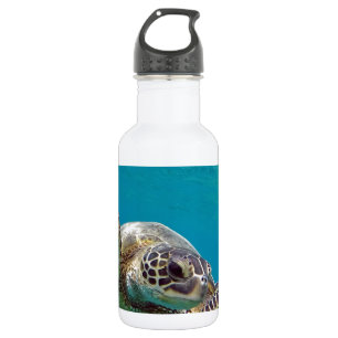 Grüne Meeresschildkröte Hawaiis - Honu Edelstahlflasche
