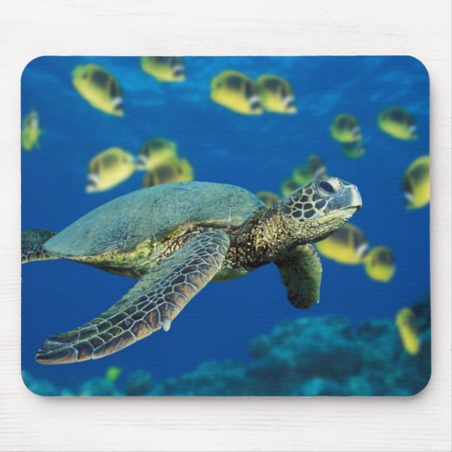 Grüne Meeresschildkröte Mousepad (Vorne)