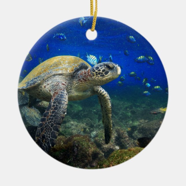 Grüne Meeresschildkröte unter Wasser Galapagos Par Keramikornament (Vorne)