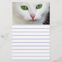 Grüne Mit Augen Katze