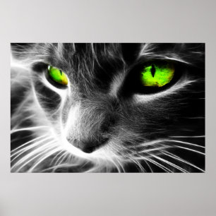Grüne mit Augen Katze herauf nahen Druck Poster