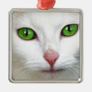 Grüne Mit Augen Katze Silbernes Ornament
