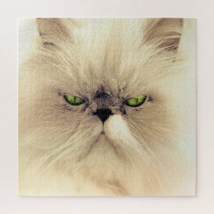 Grüne Mit Augen Perserkatze