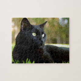 Grüne mit Augen schwarze Katze, die das Freien