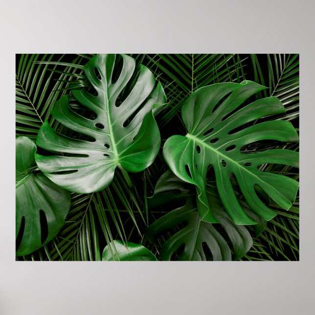 Grüne Monstera-Blätter und Blätter aus Palmen Poster (Vorne)