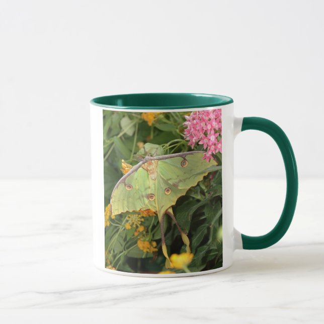 grüne Motte Tasse (Rechts)