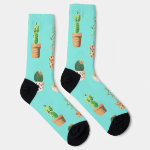 Grüne Nachspeise Sukkulente Kakteen in Pots Socken