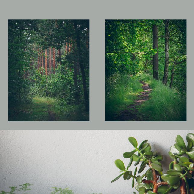 Grüne Oase: Sommerwald Bilderwand Sets (Von Creator hochgeladen)
