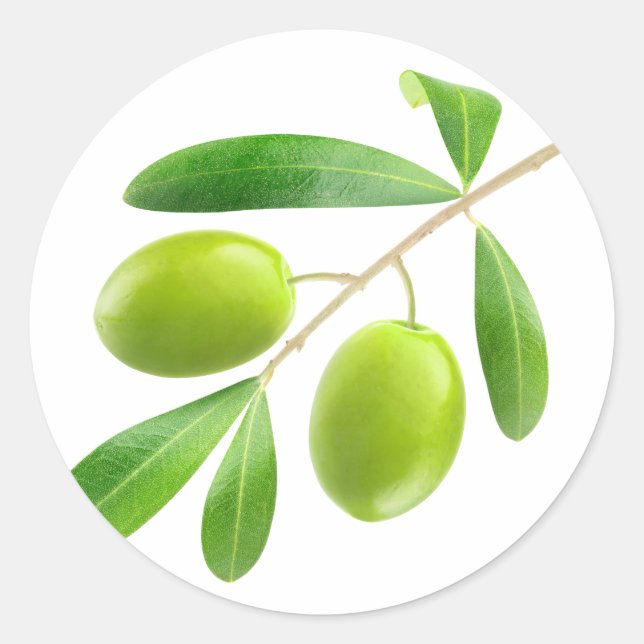 Grüne Oliven auf einem Ast Runder Aufkleber (Vorderseite)