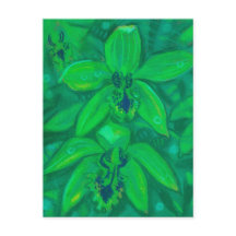 Grüne Orchidee, tropische Blume Blumenpastellfarbe