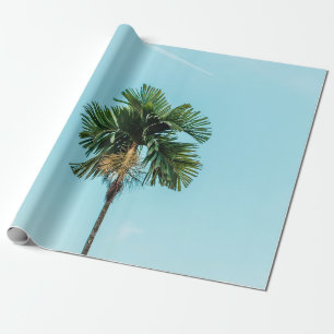Grüne Palme unter blauem Himmel am Morgen Geschenkpapier