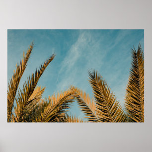 Grüne Palme unter blauem Himmel am Morgen Poster