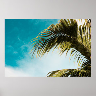 Grüne Palme unter blauem Himmel Poster