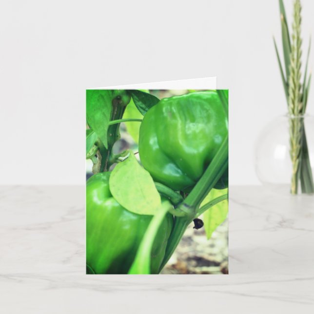 Grüne Paprikaschoten Gartenlandschaft Dankeskarte (Vorderseite)
