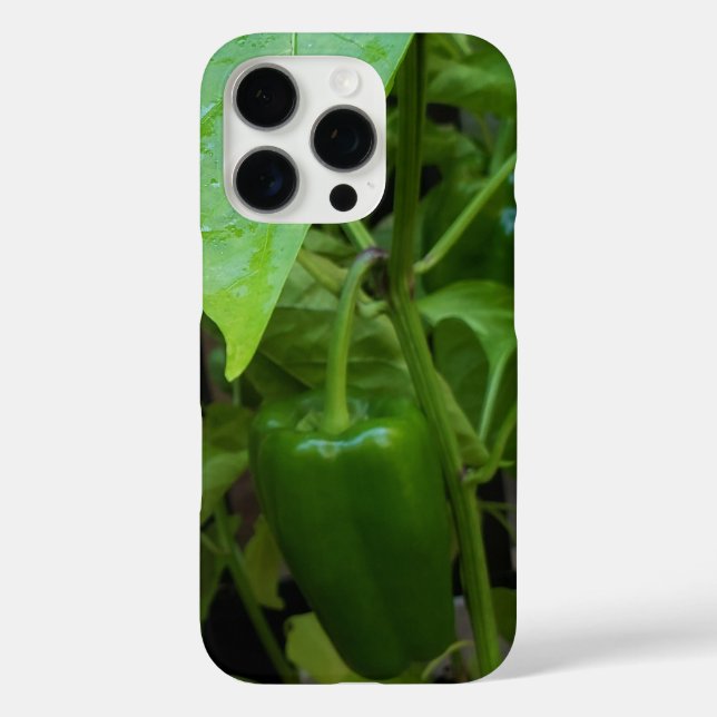 Grüne Paprikaschoten iPhone 16 Pro Hülle (Rückseite)