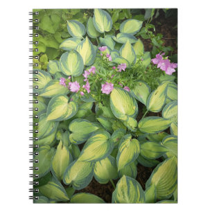 Grüne Passionsblume Botanik-Notizbuch Tropisch Notizblock